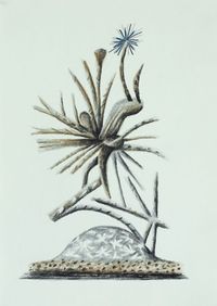 Auffällige Bedeckt- und Nacktsamer 17 by Hartmut Neumann contemporary artwork works on paper, drawing