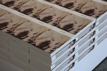 Exhibition view: Shubigi Rao, Pulp III: A Short Biography of the Banished Book, Te Wai Ngutu Kākā Gallery, Tāmaki Makaurau, Auckland (18 April–1 June 2024). Courtesy Te Tuhi. Photo: Sam Hartnett.
