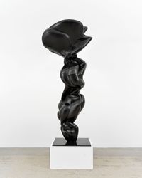 Justine by Tony Cragg contemporary artwork sculpture