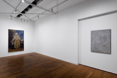 Installation view, Daniel Boyd, Tacit Testudo, Roslyn Oxley9 Gallery, Sydney (18 November–17 December 2022). Photography: David Suyasa