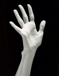 Lucinda's Hand by Robert Mapplethorpe contemporary artwork photography