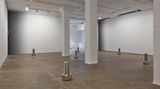 Contemporary art exhibition, Iran do Espírito Santo, SHIFT at Sean Kelly, New York, United States