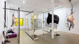 Contemporary art exhibition, David Douard, O’DA’OLDBORIN’GOLD at Galerie Chantal Crousel, Paris, France