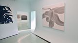 Contemporary art exhibition, Wang Cao, Zhang Yangbiao, More Than Still Life at Studio Gallery, Shanghai, China