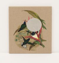 Family of hummingbirds by Gabriela Bettini contemporary artwork painting