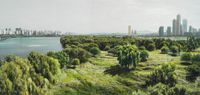 Study of Green-Seoul-Vacant Lot-Bamseom (Islet) by Honggoo Kang contemporary artwork painting