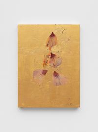 Hibiscus Syriacus 24.706 by Ria Verhaeghe contemporary artwork painting, works on paper, sculpture, photography, print