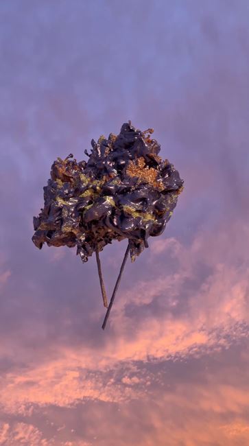 Sky Sculpture (Peonies/Vienna, May 19, 20:34 CEST) by André Hemer contemporary artwork