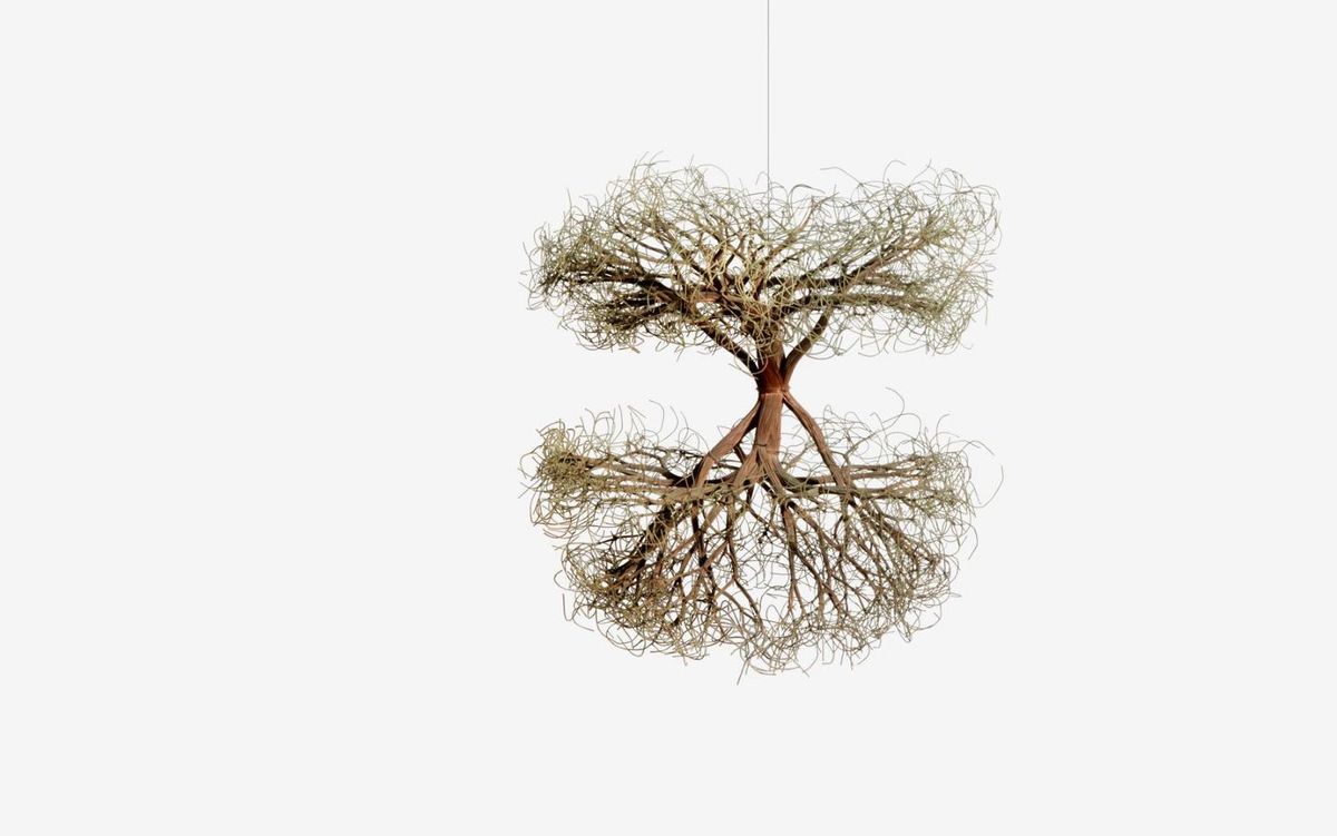 アート・デザイン・音楽 A Retrospective Of Sculpture And Drawing Ruth Asawa, 'A Retrospective' at Museum of Modern Art | MoMA