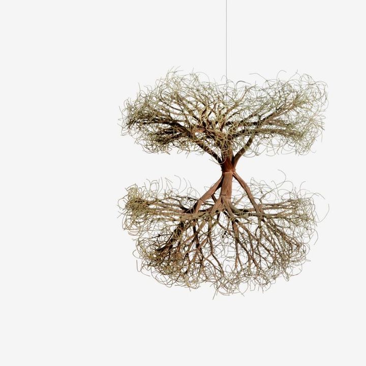 アート・デザイン・音楽 A Retrospective Of Sculpture And Drawing Ruth Asawa, 'A Retrospective' at Museum of Modern Art | MoMA