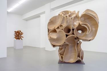 Exhibition view: Tony Cragg, Buchmann Galerie, Berlin (17 November 2018–16 February 2019). Courtesy Buchmann Galerie.