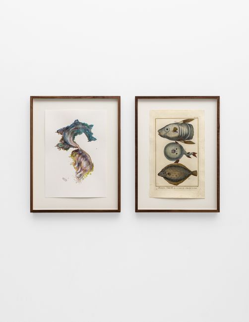 Untitled (Korea/Le Turbot, L’Orbis, La Mole) by Anri Sala contemporary artwork