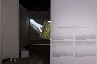 Exhibition view: Shubigi Rao, Pulp III: A Short Biography of the Banished Book, Te Wai Ngutu Kākā Gallery, Tāmaki Makaurau, Auckland (18 April–1 June 2024). Courtesy Te Tuhi. Photo: Sam Hartnett.
