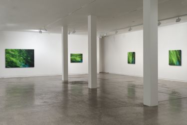 Exhibition view: Elizabeth Thomson, My Titirangi Years, Two Rooms, Auckland (21 October–19 November 2022). Courtesy Two Rooms.