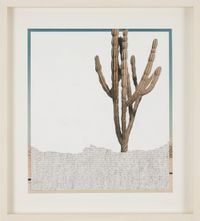 Guajira by Johanna Calle contemporary artwork photography