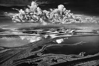 Rio Negro, Anavilhanas National Park, state of Amazonas, Brazil by Sebastião Salgado contemporary artwork photography