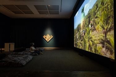 Exhibition view: Stephanie Comilang and Simon Speiser, Piña, Why is the Sky Blue?, Silverlens, Manila (26 April–25 May 2024). Courtesy Silverlens.