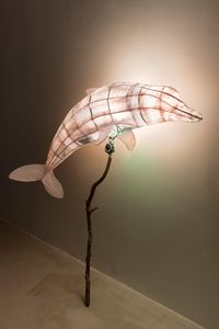 Foreign Object #2 Umbra And Penumbra (Dolphin) by Cici Wu contemporary artwork sculpture, installation, mixed media