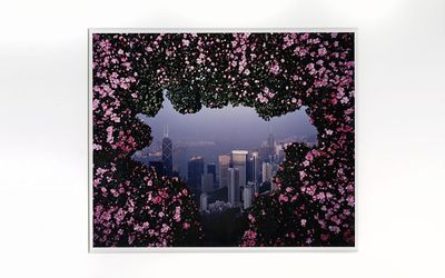 Lee Ka-sing, A Floral Transformation (1996). Photograph.12 x 14 inches. Courtesy Lee Ka-sing.