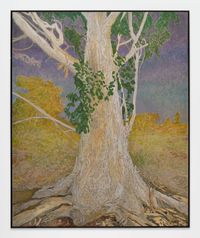Swamp Mahogany by Hayley Barker contemporary artwork painting