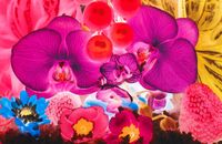 At the Far Edges of the Universe #4 by Marc Quinn contemporary artwork print