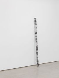 Key and Cue, No. 1740(SWEET IS THE SWAMP WITH ITS SECRETS) by Roni Horn contemporary artwork sculpture
