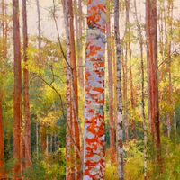 Pink Ash, Autumn Light by A.J. Taylor contemporary artwork painting
