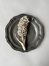 Hyacinth by Kaori Tatebayashi contemporary artwork ceramics