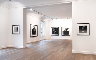 Jean-Baptiste Huynh, ‘Nus & Végétaux’ 2016, Exhibition view, Galerie Lelong, Paris. Courtesy Galerie Lelong, Paris.