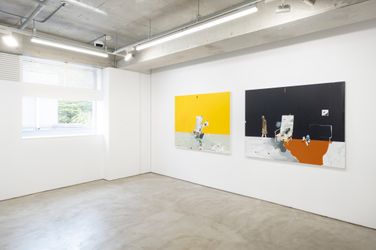 Installation view from 8 Paintings ( from the midlands ) by Brian Harte
