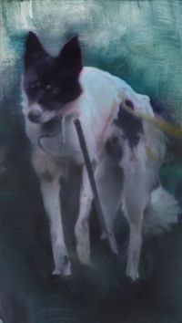 Untitled (dog second version) by Johannes Kahrs contemporary artwork painting