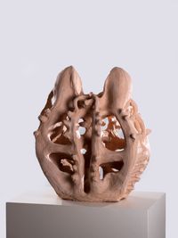 Anchor Fish by Cecilia Bengolea contemporary artwork sculpture