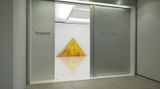 Contemporary art exhibition, Masato Kobayashi, About Freedom at ShugoArts, Tokyo, Japan