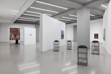 Exhibition view: Persona and Parasite, White Space Beijing (18 June–14 August 2022). Courtesy White Space Beijing. 