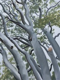 Autumn Pine Tree by Long Quan contemporary artwork painting