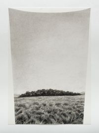 Horton plains 5 by Muhanned Cader contemporary artwork works on paper, drawing