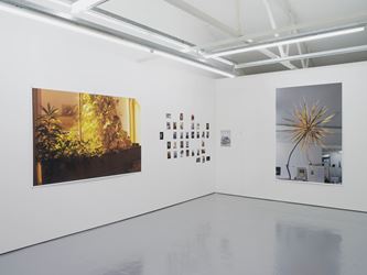 Wolfgang Tillmans, Solo Exhibition, 2016 at Maureen Paley, London. Courtesy the Artist and Maureen Paley, London. © Wolfgang Tillmans.
