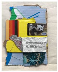 Visa Panda by Mark Flood contemporary artwork works on paper