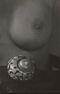 Detail mit der Muschel by Josef Sudek contemporary artwork photography