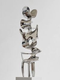 Incident (Vertical) by Tony Cragg contemporary artwork sculpture