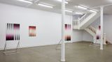 Contemporary art exhibition, Martin Basher, Untitled at Starkwhite, Auckland, New Zealand