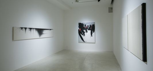 Installation image of LABYRINTH(S): Pearl Lam Galleries, Hong Kong, 2016 is courtesy of the gallery.