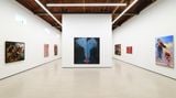 Contemporary art exhibition, Group Exhibition, It Never Entered My Mind at Sean Kelly, Los Angeles, United States