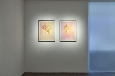 Exhibition view: Robert Muntean, Future Days, Gallery Rosenfeld, London (23 February–29 March 2024). Courtesy Gallery Rosenfeld.