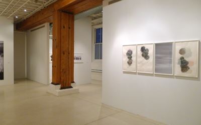 Exhibition view: Denise Green, Paintings, Drawings, Photographs, Sundaram Tagore Gallery, Chelsea, New York (8 January–21 February 2015). Courtesy Sundaram Tagore Gallery.