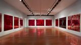 Contemporary art exhibition, Dale Frank, Solo Exhibition at Roslyn Oxley9 Gallery, Sydney, Australia