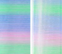 RGB - The moment of visual persistence n°10 by Yang Mian contemporary artwork painting
