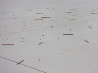 Arranged Nail Parts for Floor II by Richard Frater contemporary artwork mixed media