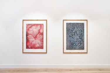 Exhibition view: Alexandra Duprez, Fragments of a Changing World, Galerie Albrecht, Berlin (27 March–20 April 2024). Courtesy Galerie Albrecht.