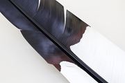 Magpie by Neil Dawson contemporary artwork 2